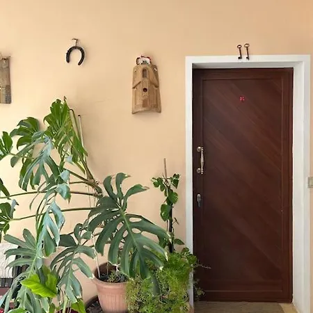 Casa Spiga Casa vacanze Villa San Pietro